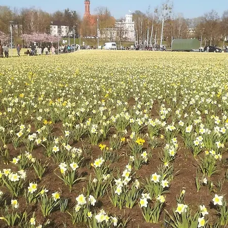 Apartament Butas Vilniaus Alejoje *