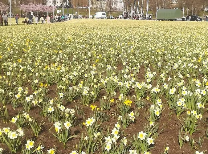 Apartment Butas Vilniaus Alejoje *